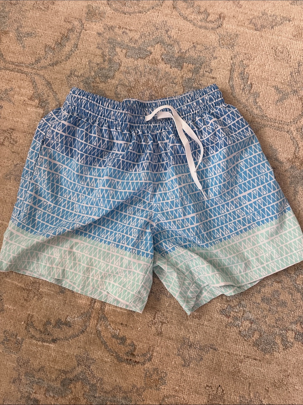 chubbies Blue and Mint Geometric Men’s Swim Trunks 5.5